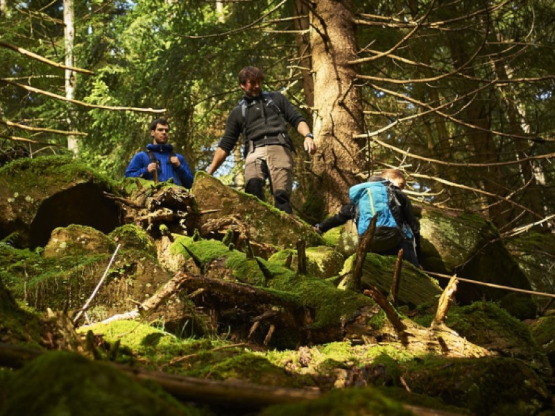 Schwarzwald Wandern Wanderurlaub Albtal Abenteuer Track Bad Herrenalb