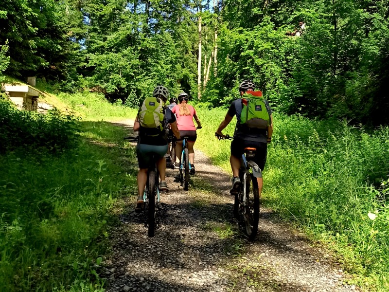Schwarzwald Stadtradeln 2021 Team Nördlicher Schwarzwald