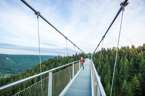 Schwarzwald Nachhaltiger Partner Wildline