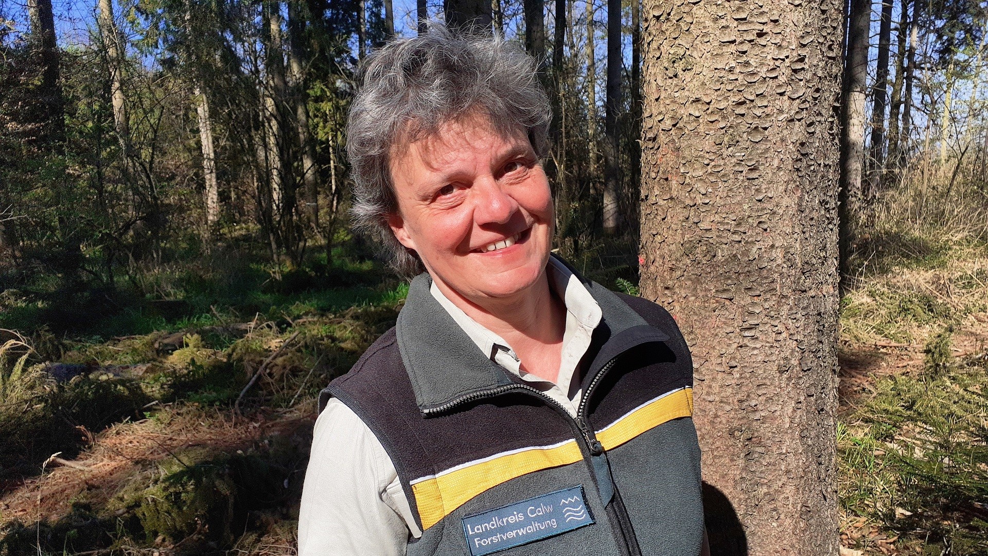 forst-hormel-wald-tourismus