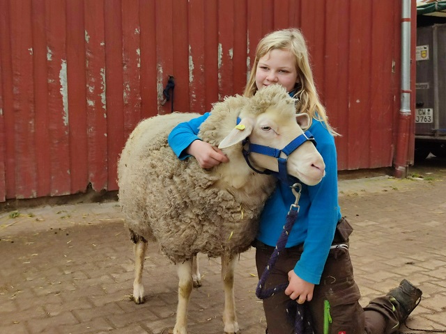 Schwarzwald Tradition Schaf Mädchen