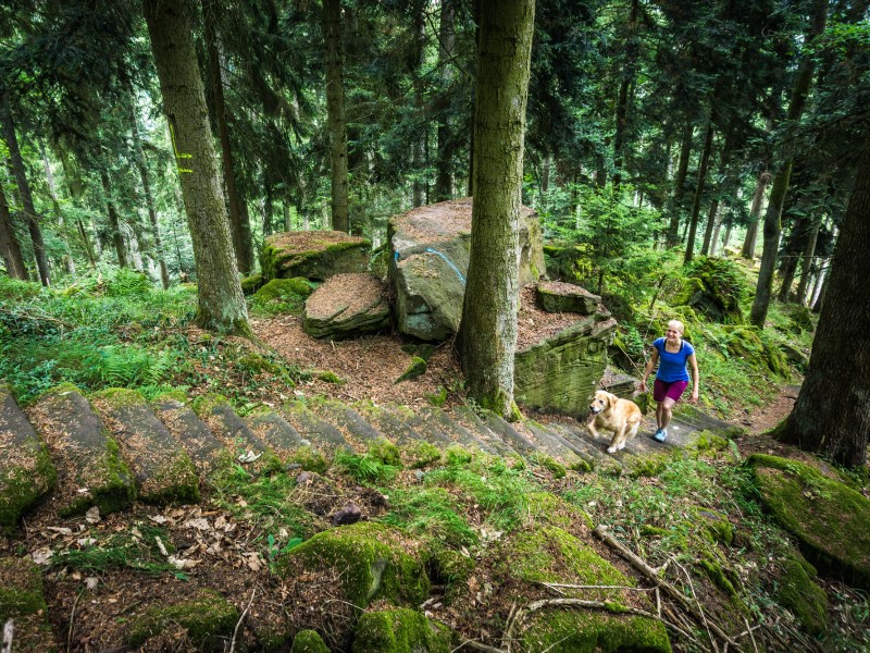 Schwarzwald Urlaub Wanderurlaub Premiumweg Der Teinacher Genießerpfad