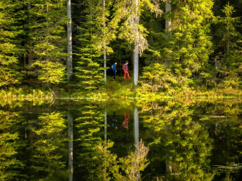 Schwarzwald Wandern Wanderurlaub Qualitätsregion Wanderbares Deutschland