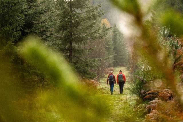 Schwarzwald Wandern Wanderurlaub Wanderregion