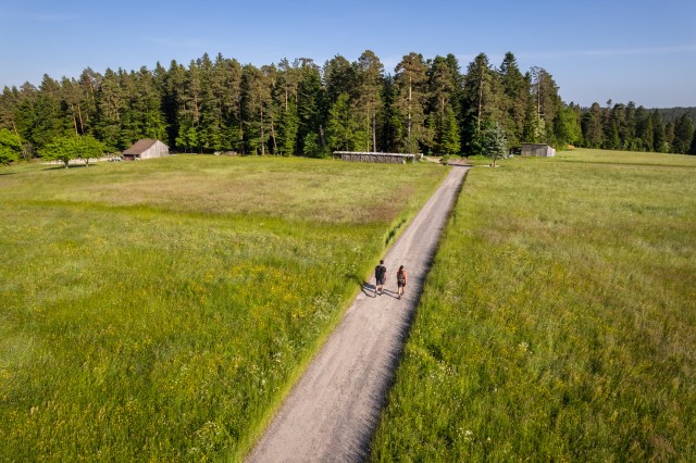Schwarzwald Wanderurlaub Wanderwege Wandertipps Wandern