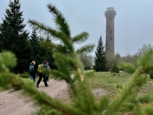 Nördlicher Schwarzwald Wanderung Hohlohturm Autorin Andrea C. Bayer