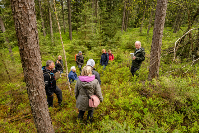Nördlicher Schwarzwald Blog Martin Hauser Luchswanderung Gruppe