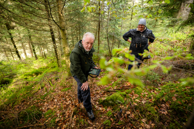 Nördlicher Schwarzwald Blog Martin Hauser Wald Unterwegs