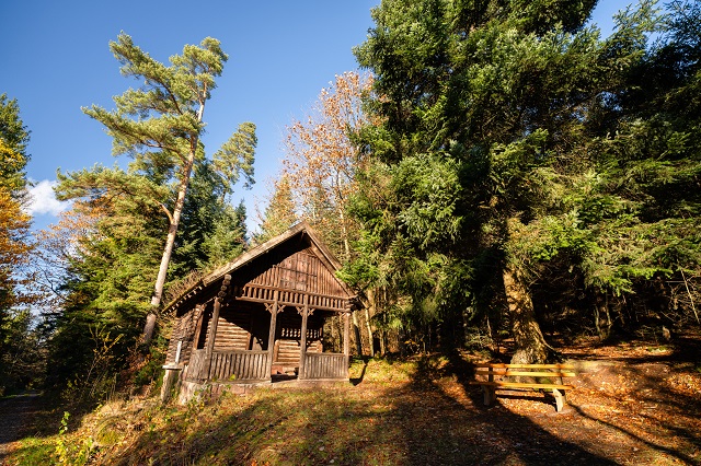 schluchtenduo-im-schwarzwald