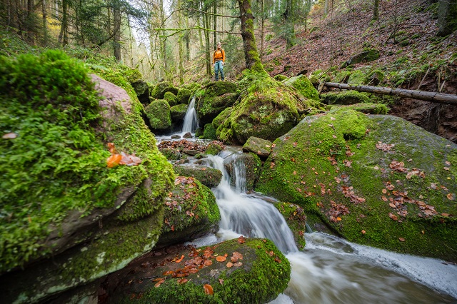 monbachtal-schluchtenduo-schwarzwald