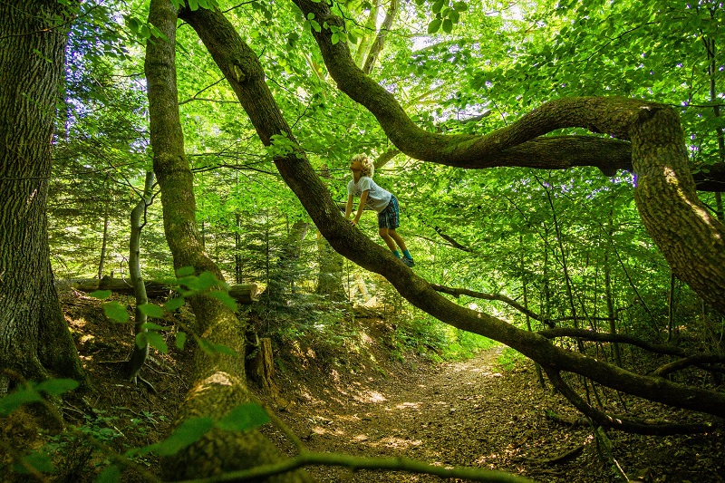 Schwarzwald-Familientouren-Kinder