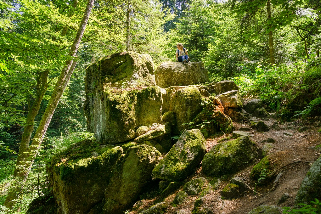 Schwarzwald-Erlebnistour-Familie