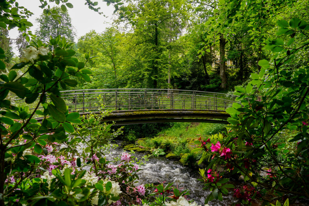 Kurpark Bad Wildbad